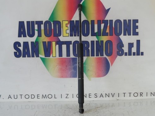 Pistoncini cofano ant per - cofano,