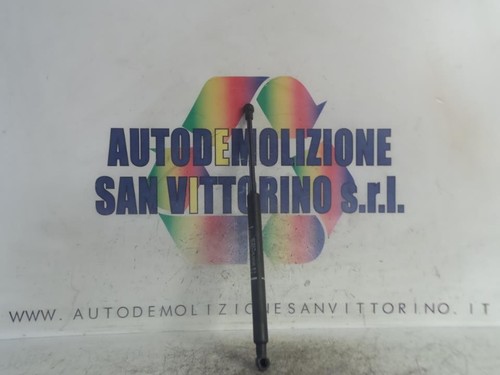Pistoncini cofano ant - pistoncini,